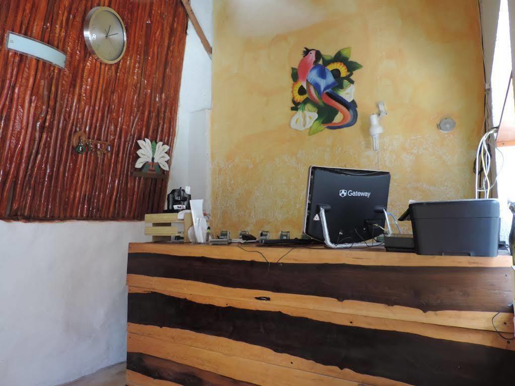 Golden Paradise Town Hotel Ilha Holbox Exterior foto